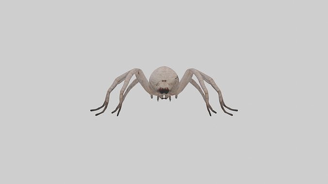 Huntsman Spider Low-poly 3D model
