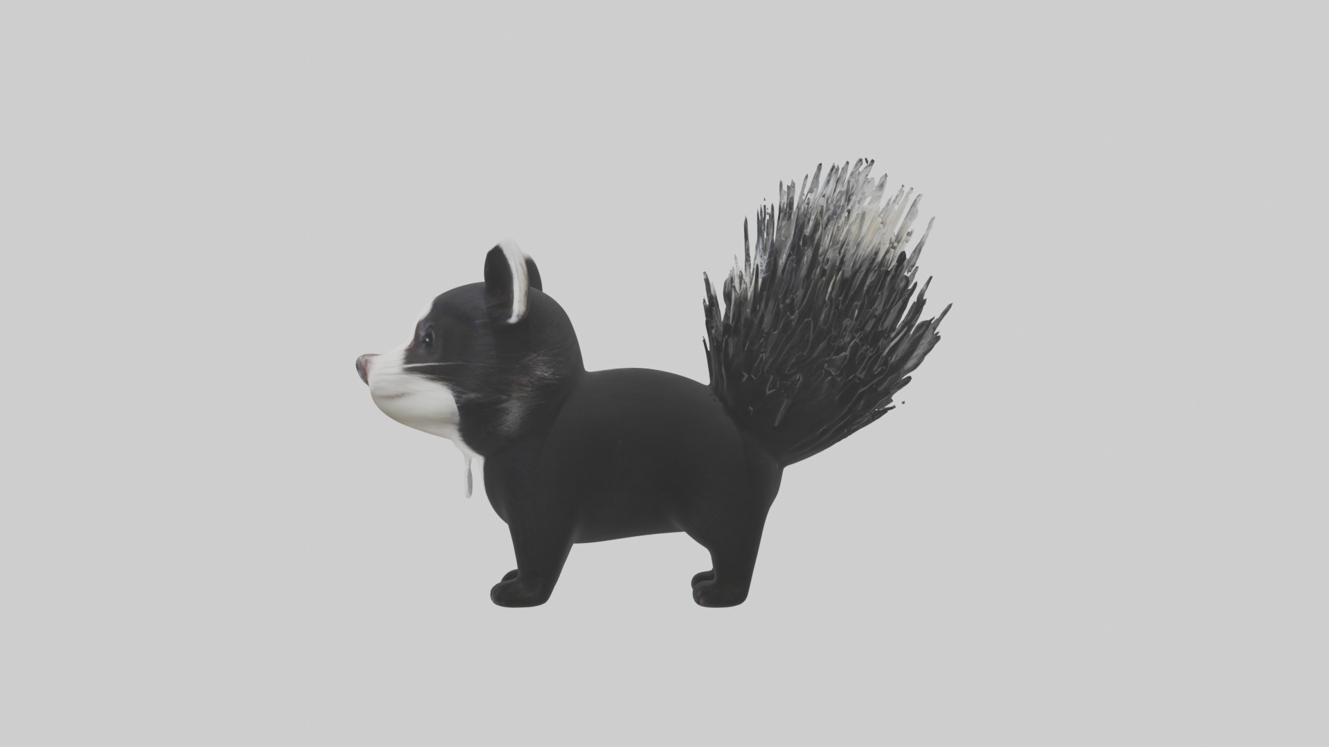 Hooded Skunk Low-poly 3D model_6