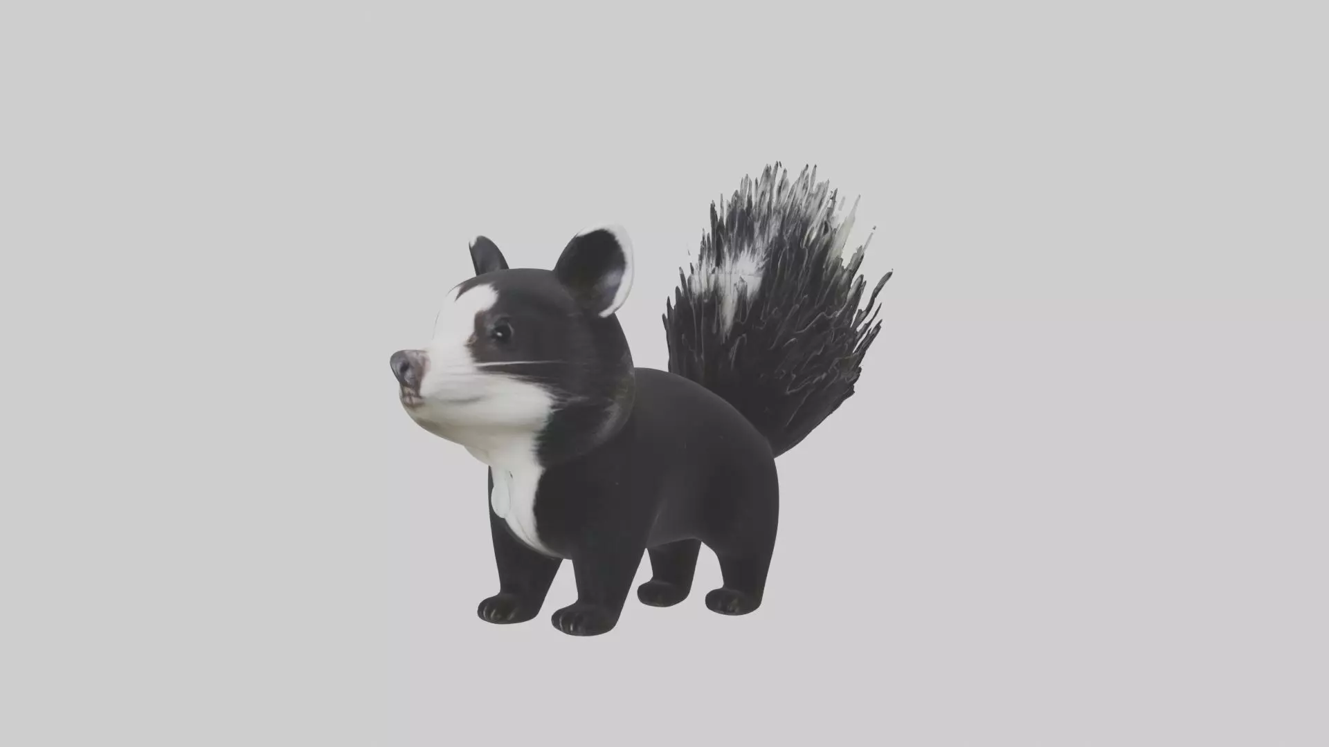 Hooded Skunk Low-poly 3D model_0