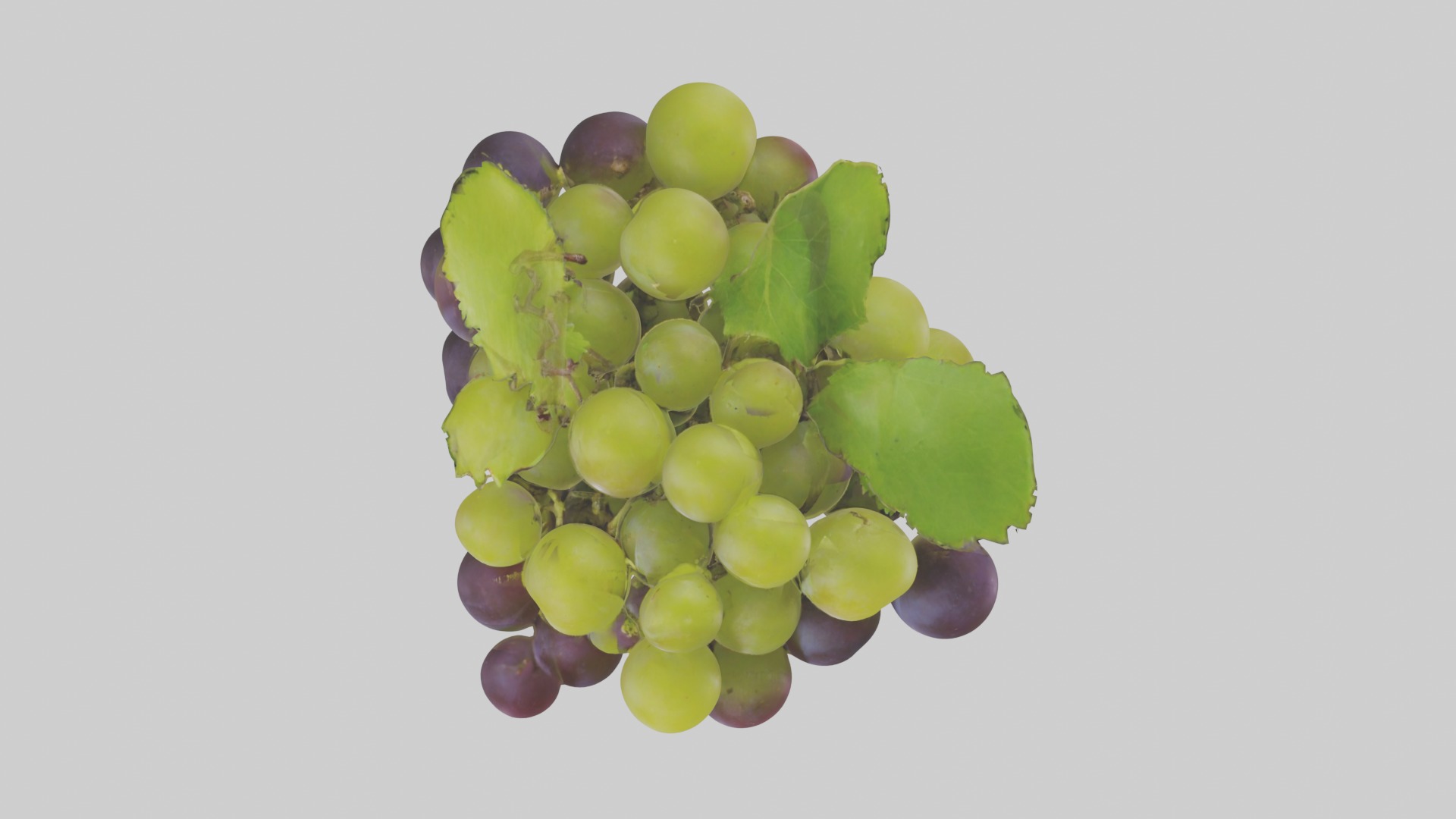 Green Purple Grape Low-poly 3D model_8
