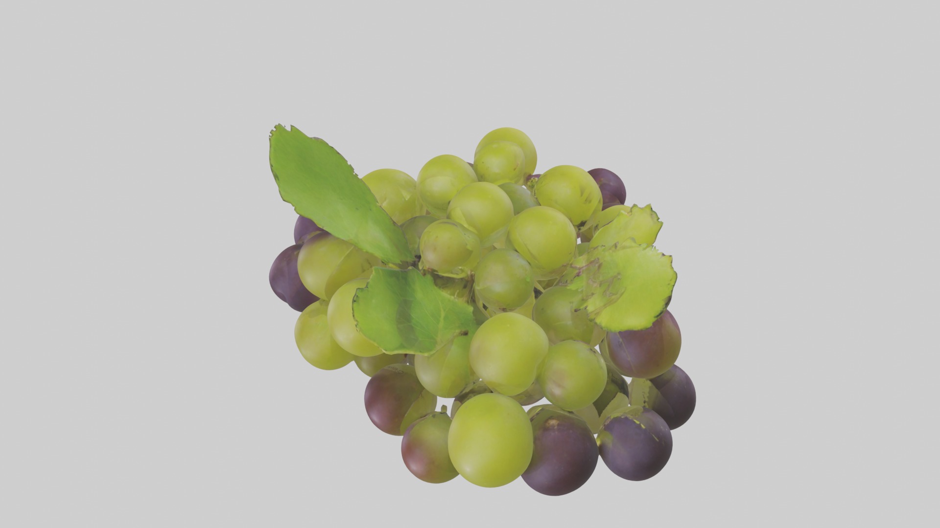 Green Purple Grape Low-poly 3D model_9