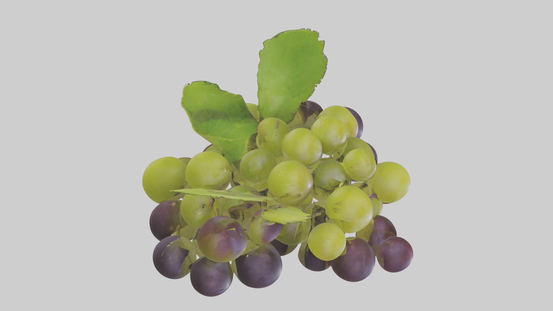 Green Purple Grape Low-poly 3D model_12