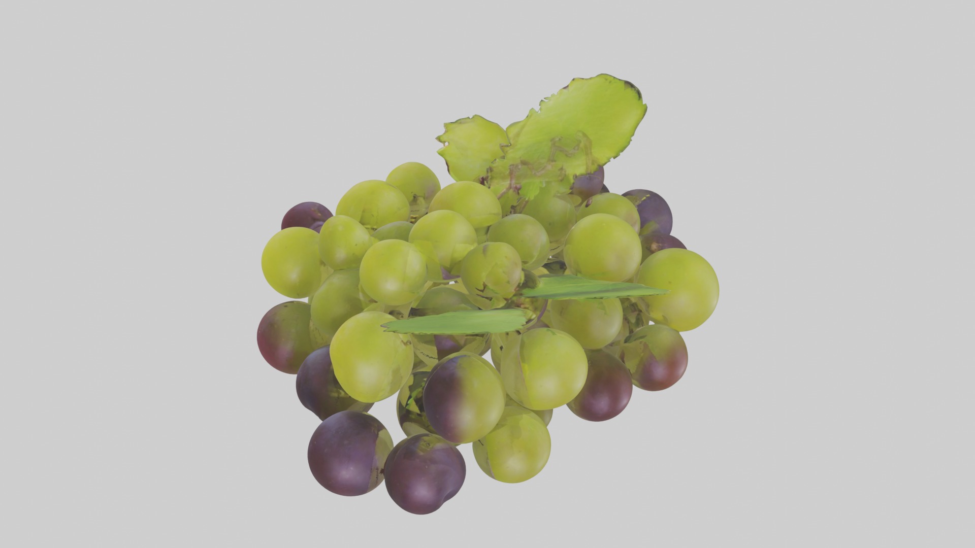 Green Purple Grape Low-poly 3D model_11