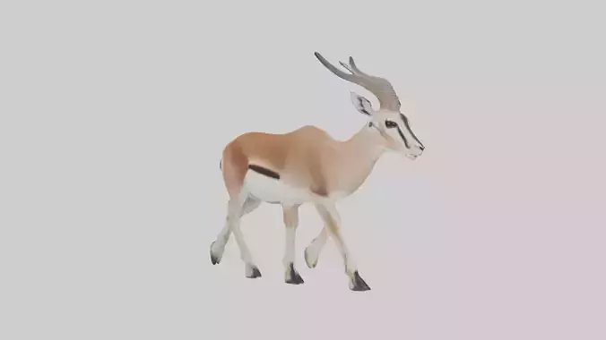 Grants gazelle Low-poly 3D model