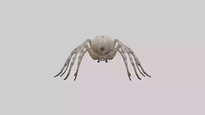 Garden Spider Low-poly 3D model