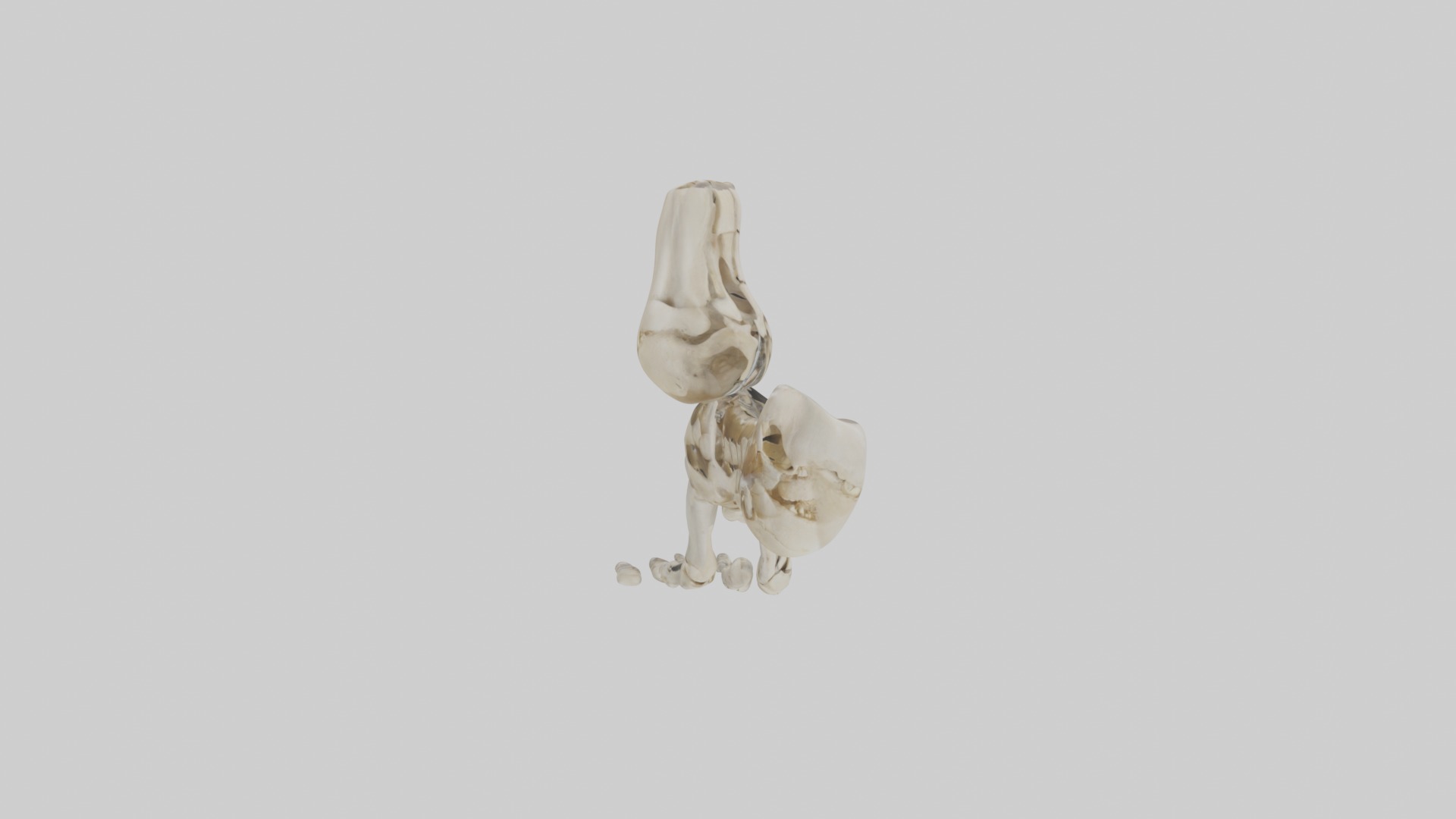 Foot skeleton Low-poly 3D model_5