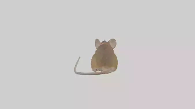 Field mouse Low-poly 3D model
