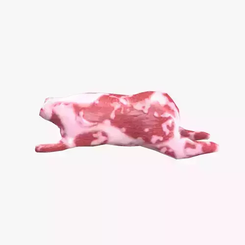 Pig V01