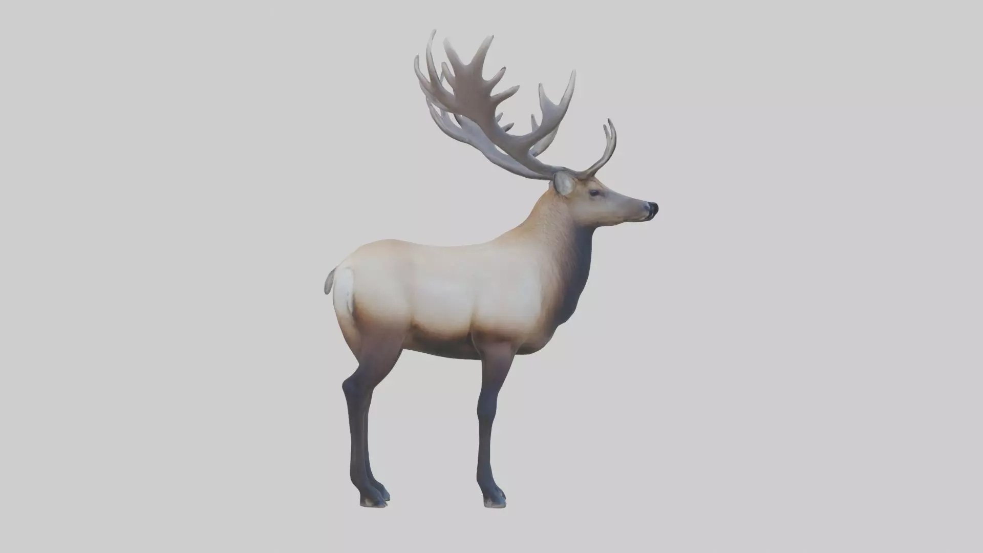 Elk deer Low-poly 3D model_0