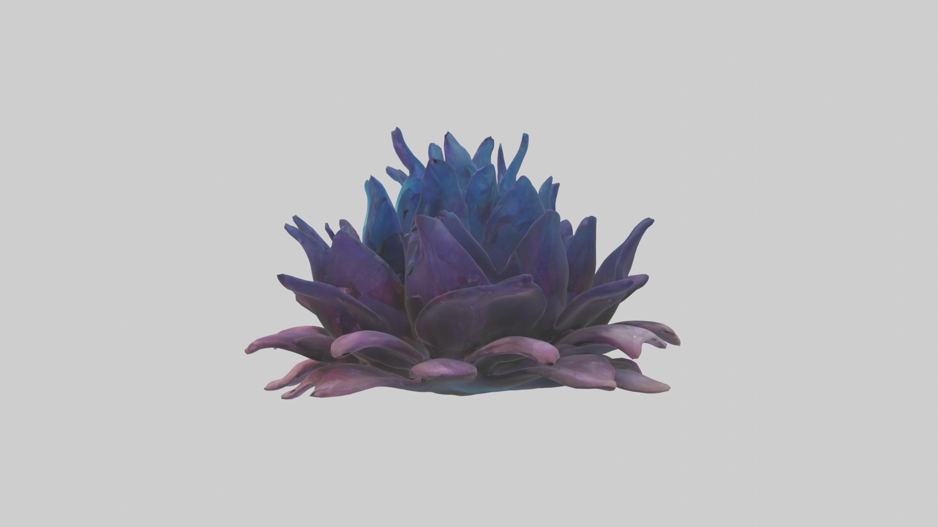 Dreamscape Flowers Low-poly 3D model_6