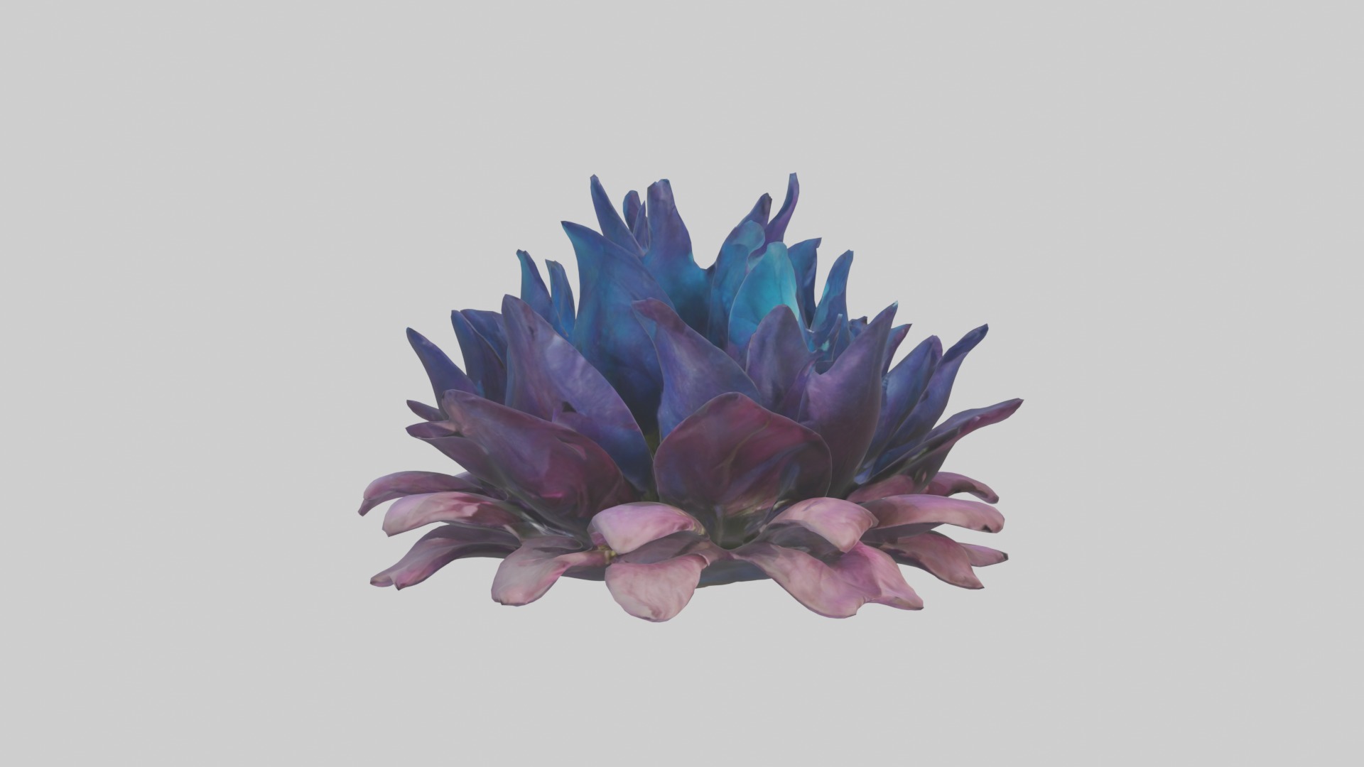 Dreamscape Flowers Low-poly 3D model_5