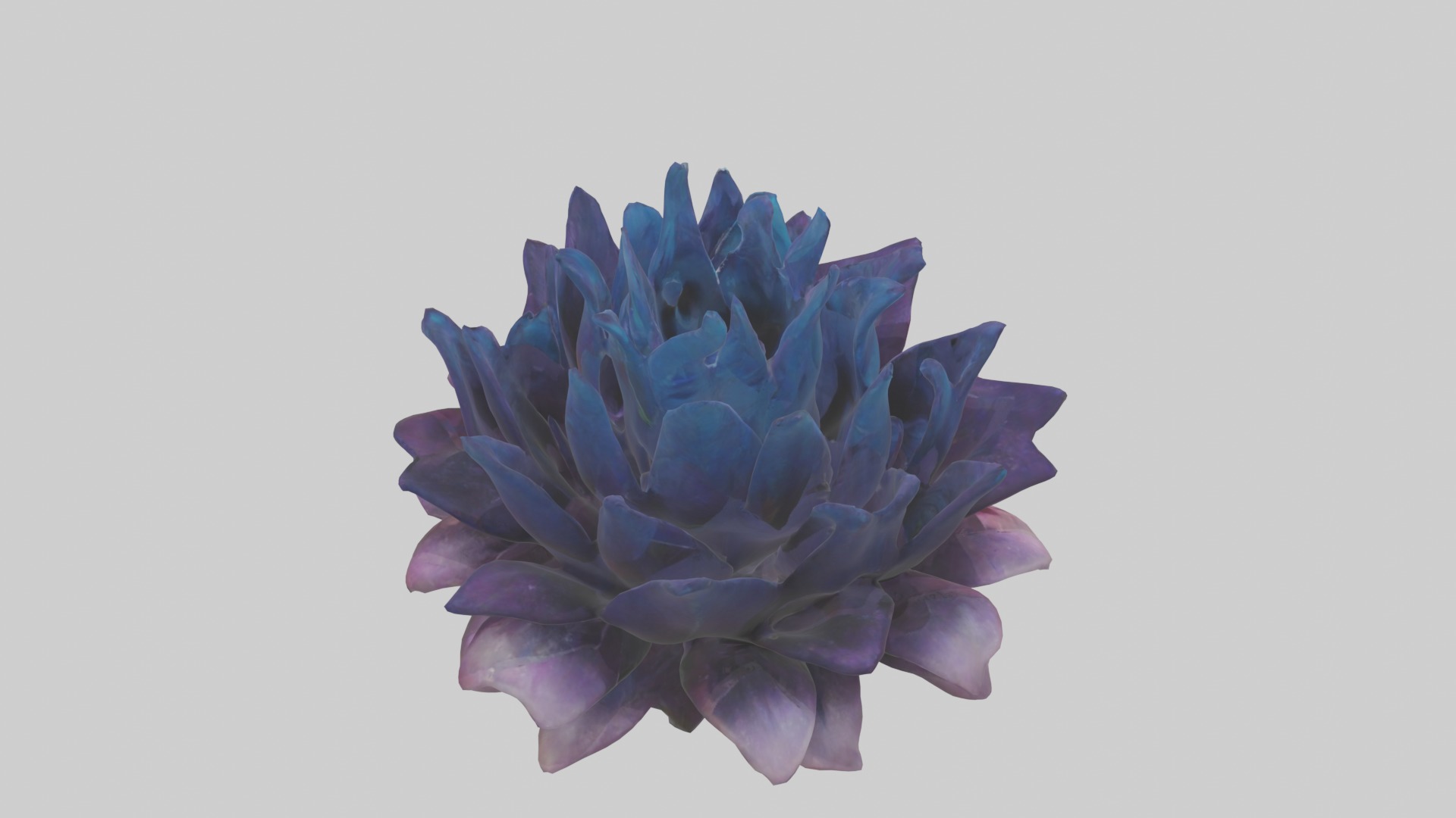 Dreamscape Flowers Low-poly 3D model_9
