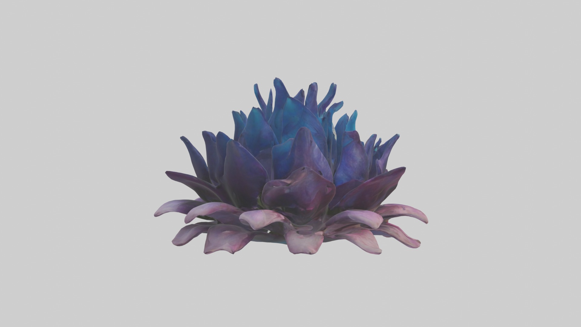 Dreamscape Flowers Low-poly 3D model_7