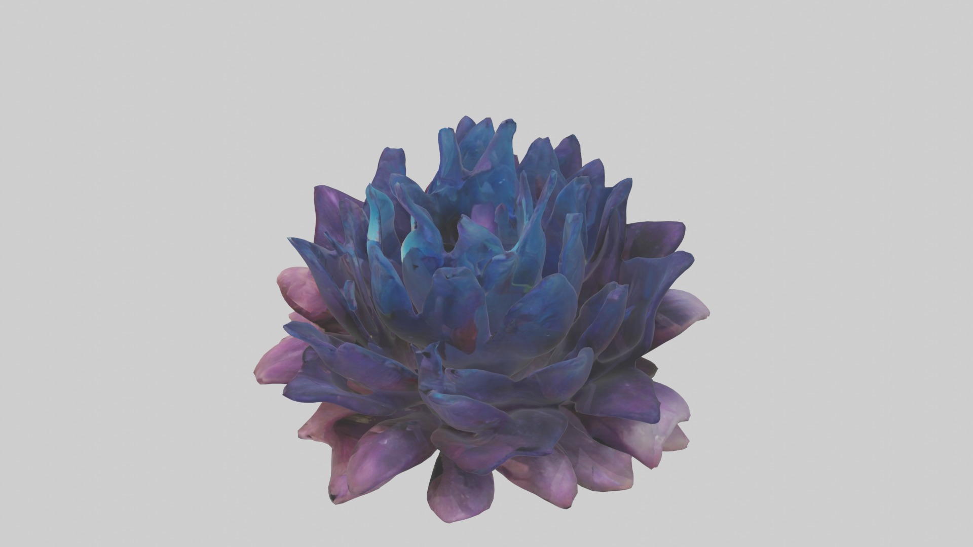 Dreamscape Flowers Low-poly 3D model_11