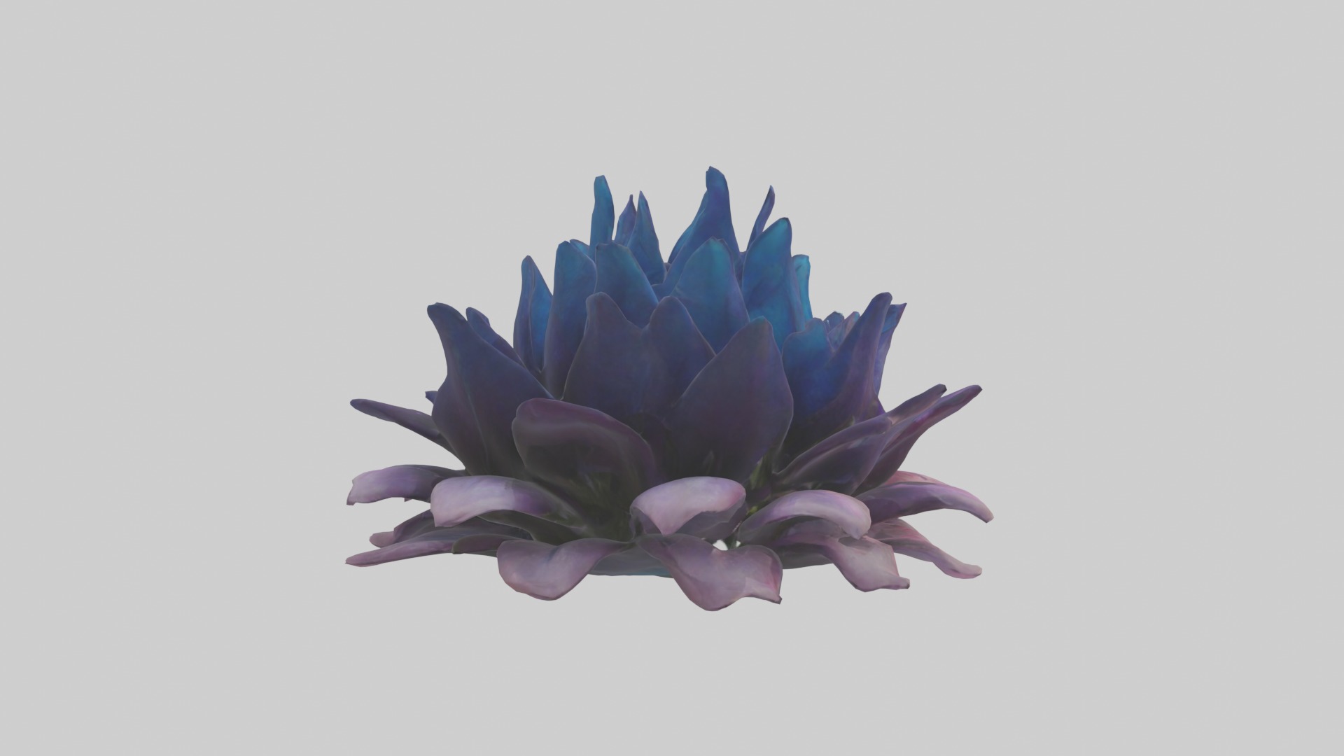 Dreamscape Flowers Low-poly 3D model_2