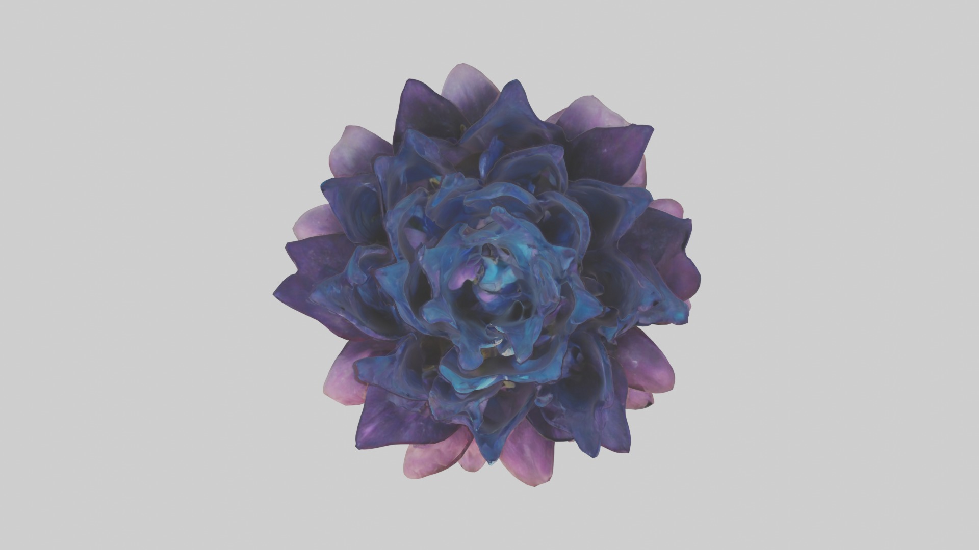 Dreamscape Flowers Low-poly 3D model_8