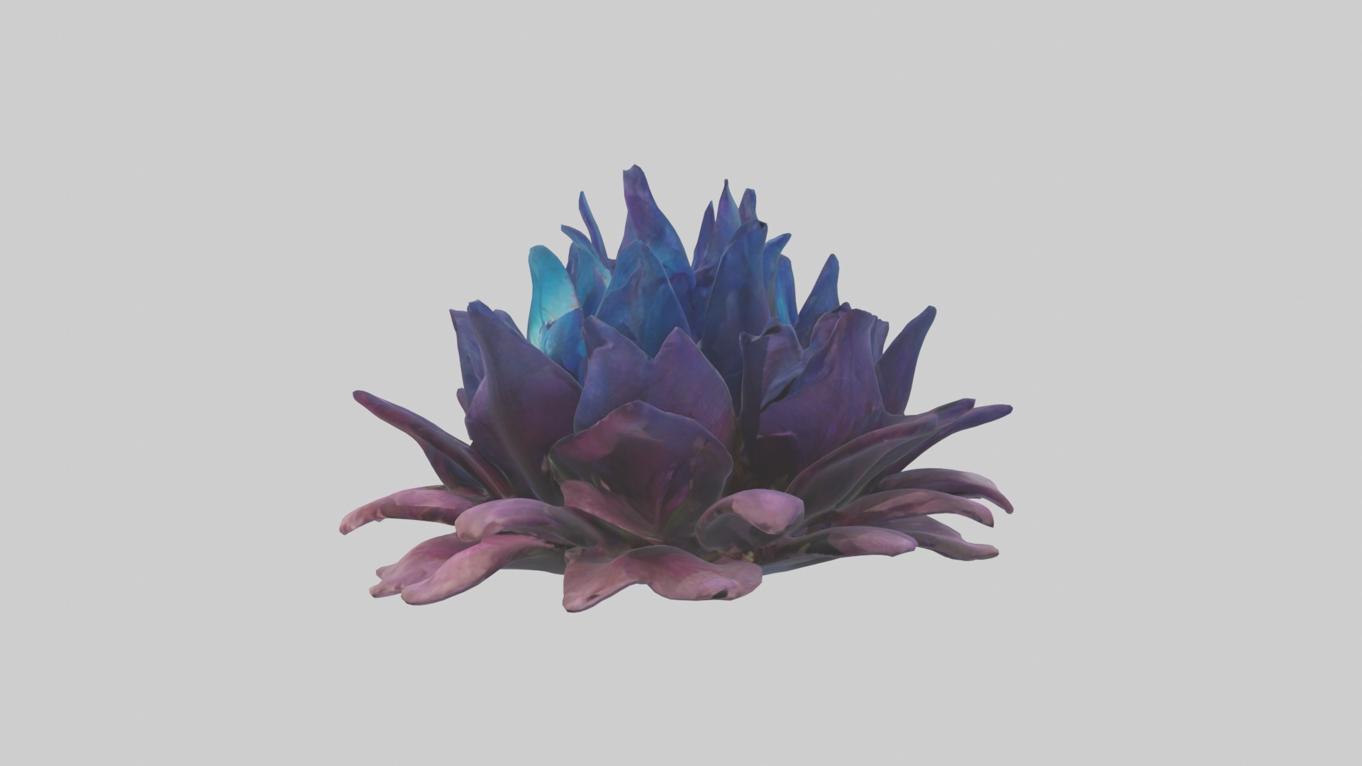 Dreamscape Flowers Low-poly 3D model_4