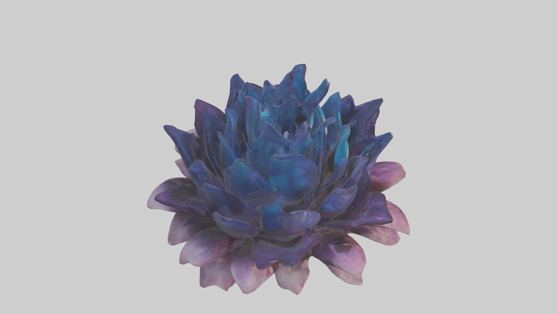 Dreamscape Flowers Low-poly 3D model_12