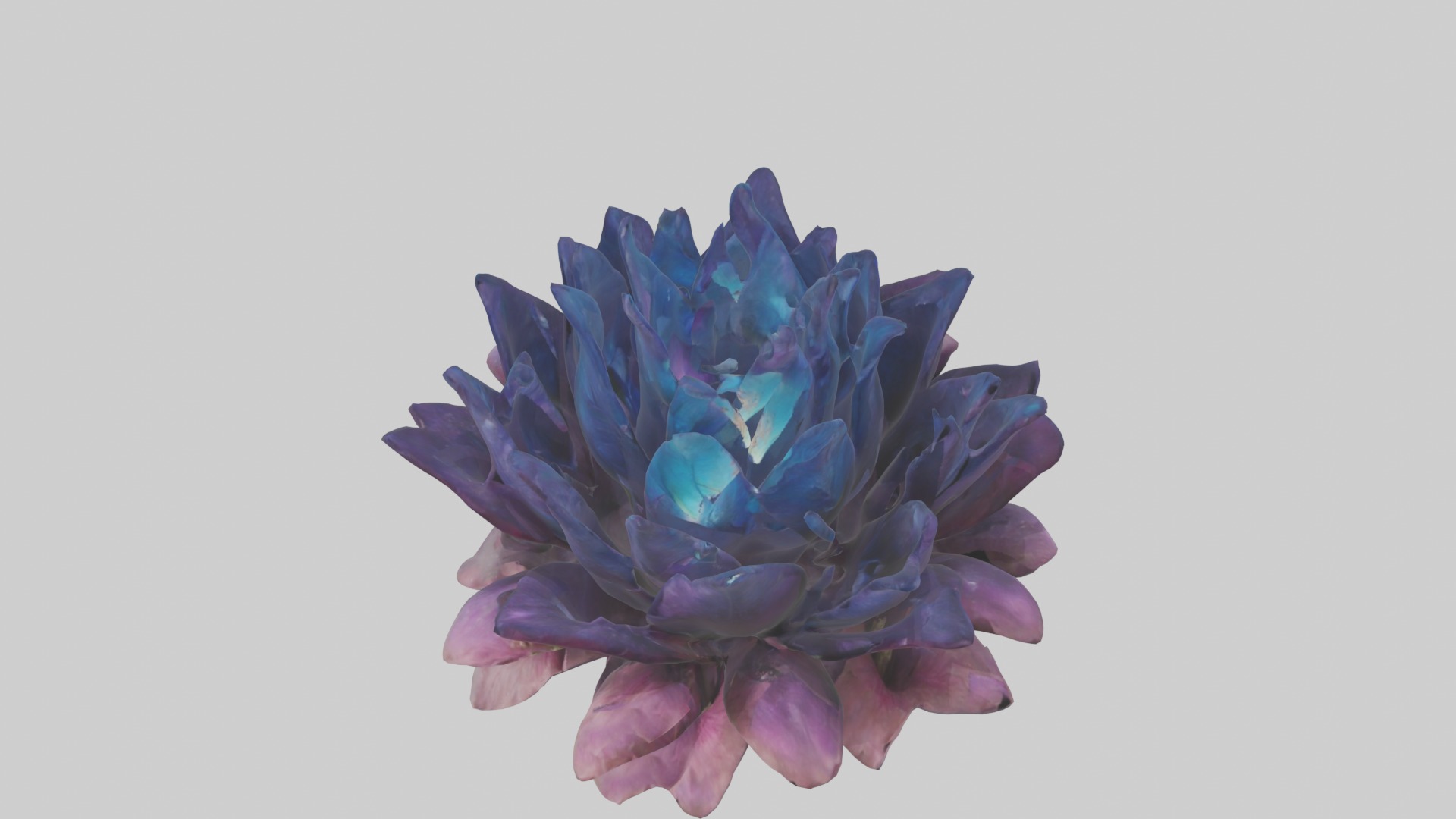Dreamscape Flowers Low-poly 3D model_10