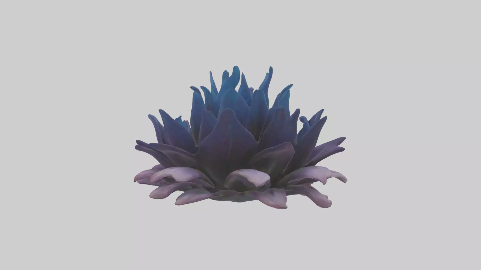 Dreamscape Flowers Low-poly 3D model_0