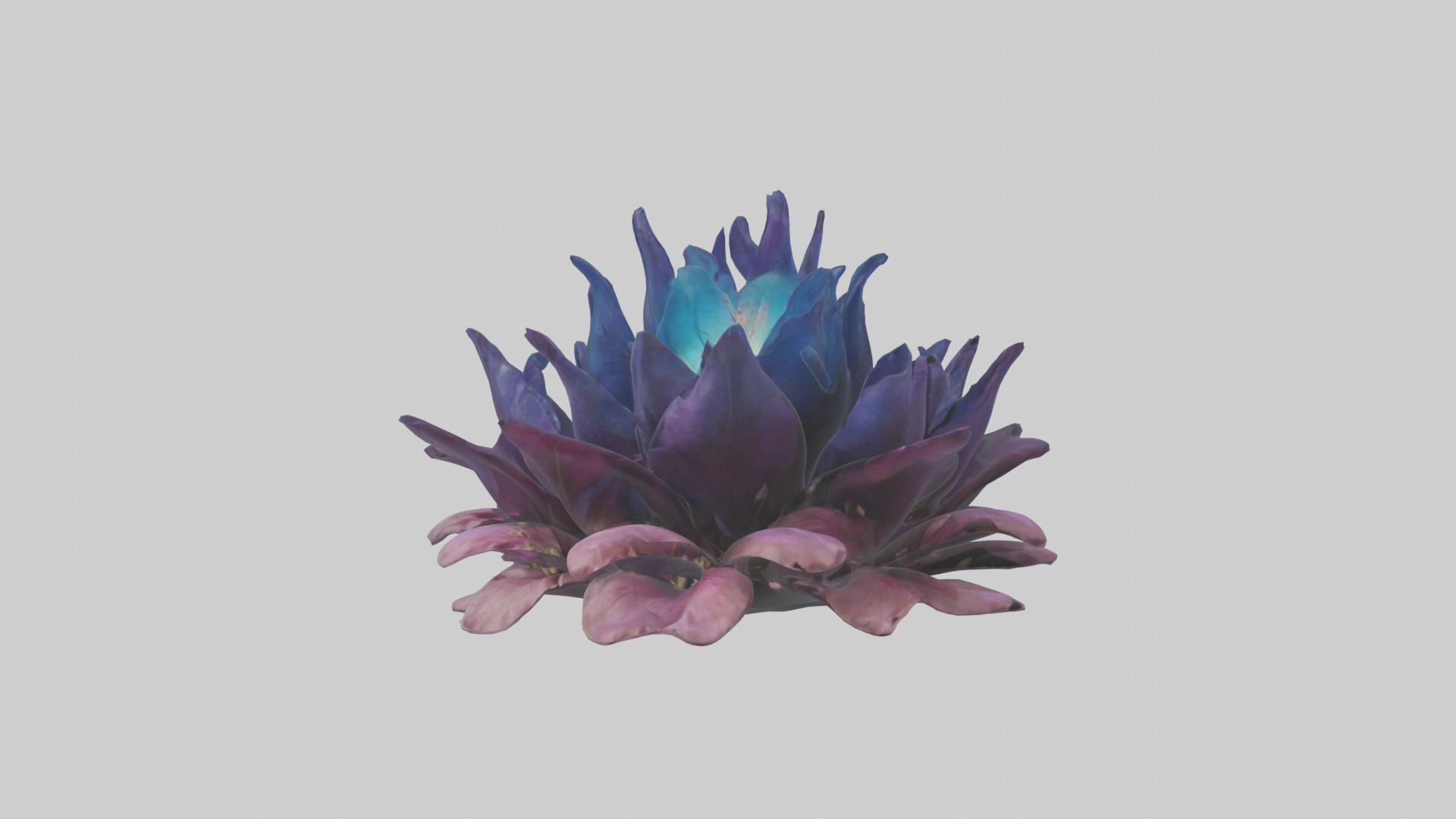 Dreamscape Flowers Low-poly 3D model_3