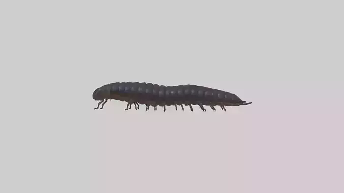 Desert Millipede Low-poly 3D model