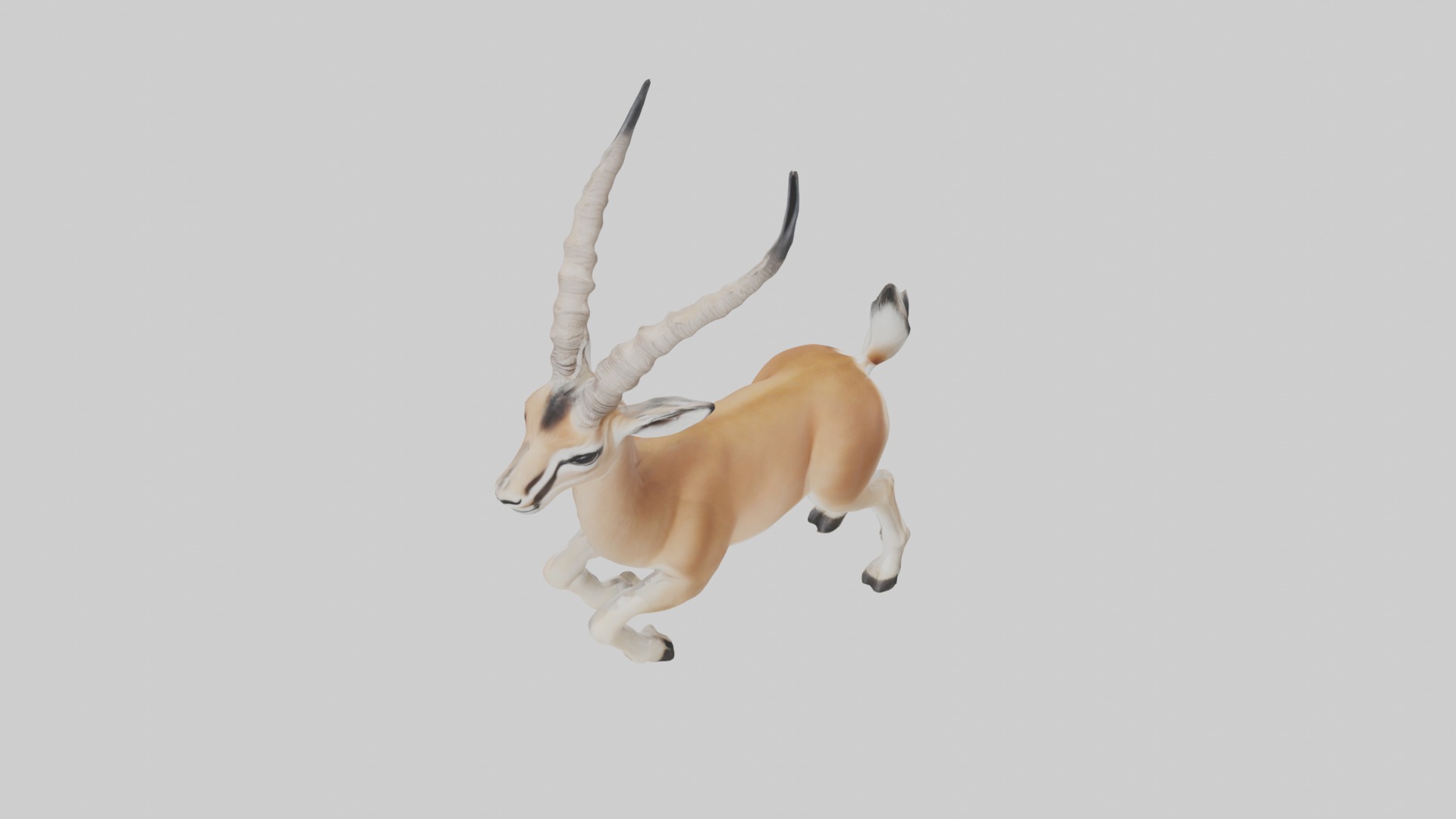 Dama gazelle Low-poly 3D model_10