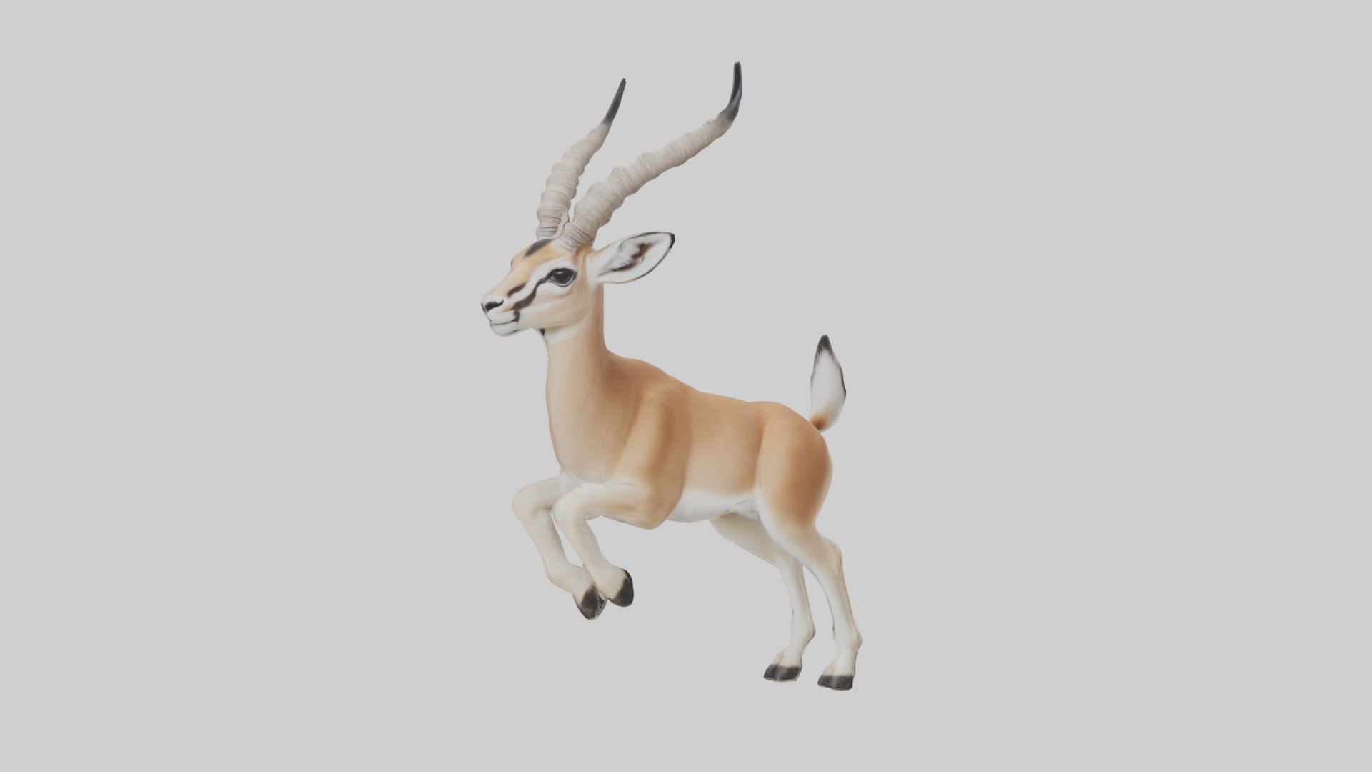 Dama gazelle Low-poly 3D model_3