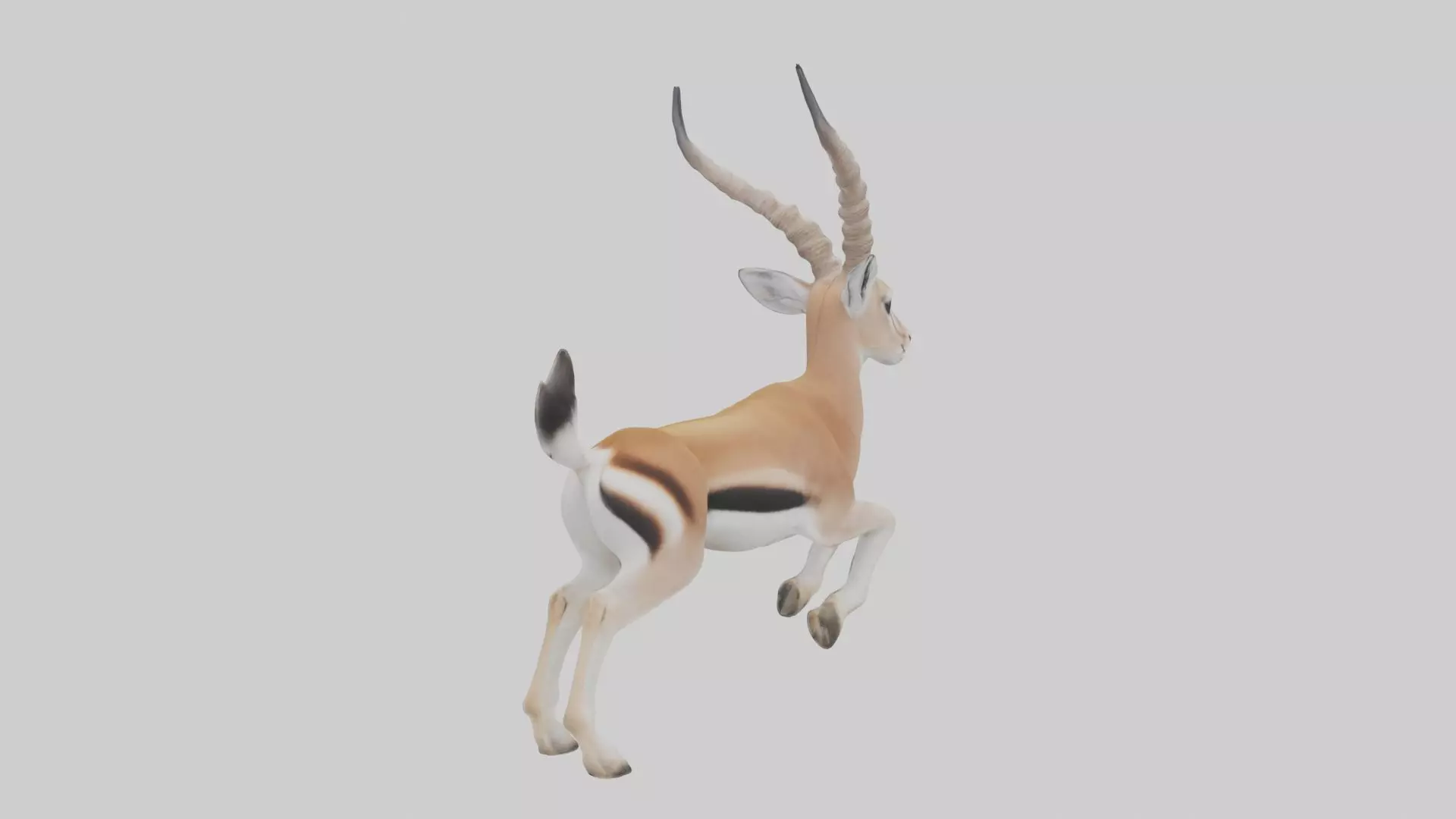 Dama gazelle Low-poly 3D model_0