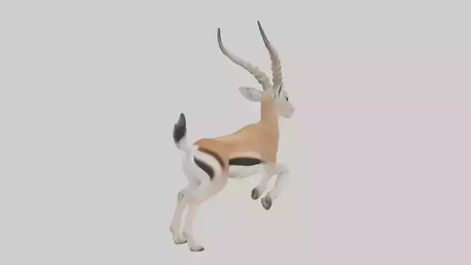 Dama gazelle Low-poly 3D model