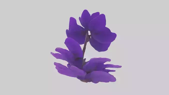 Cool African Violet Model
