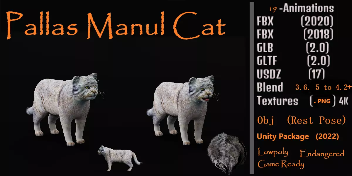 Pallas Manul Cat Breed Low-poly 3D model_0