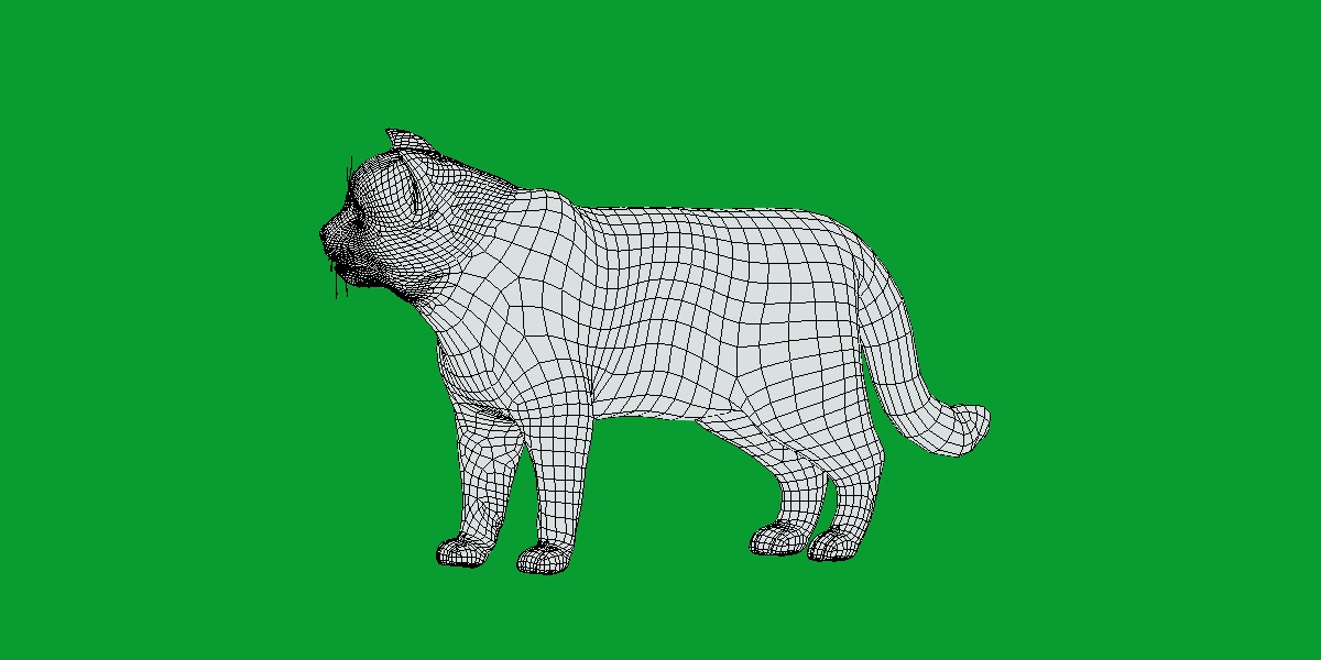 Pallas Manul Cat Breed Low-poly 3D model_11