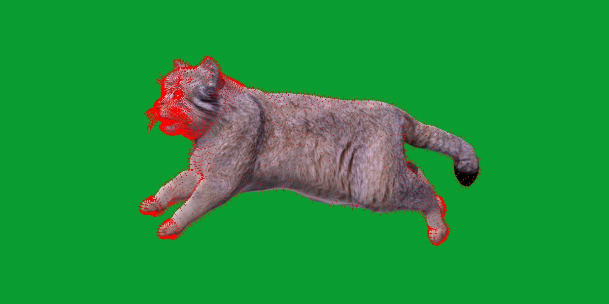 Pallas Manul Cat Breed Low-poly 3D model_14
