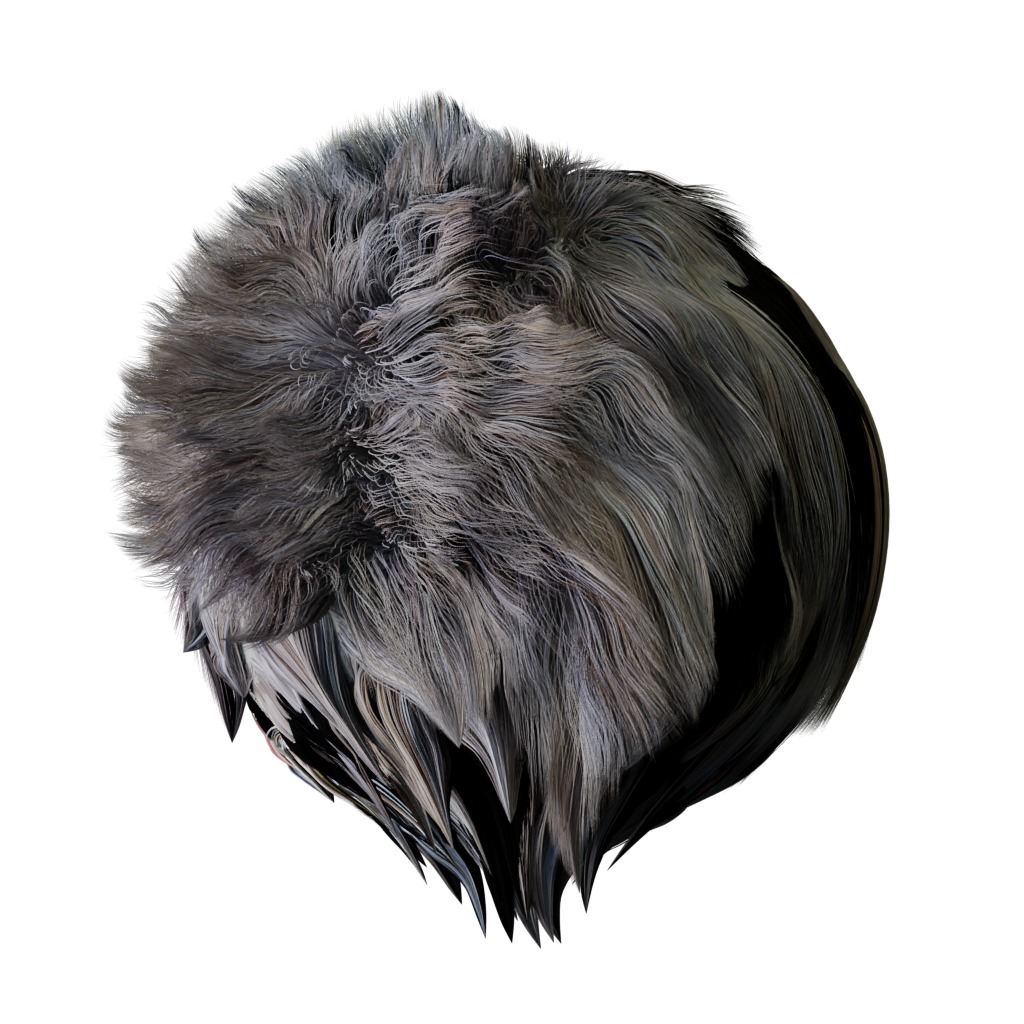 Pallas Manul Cat Breed Low-poly 3D model_30