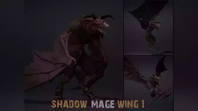 Shadow Mage Wing1