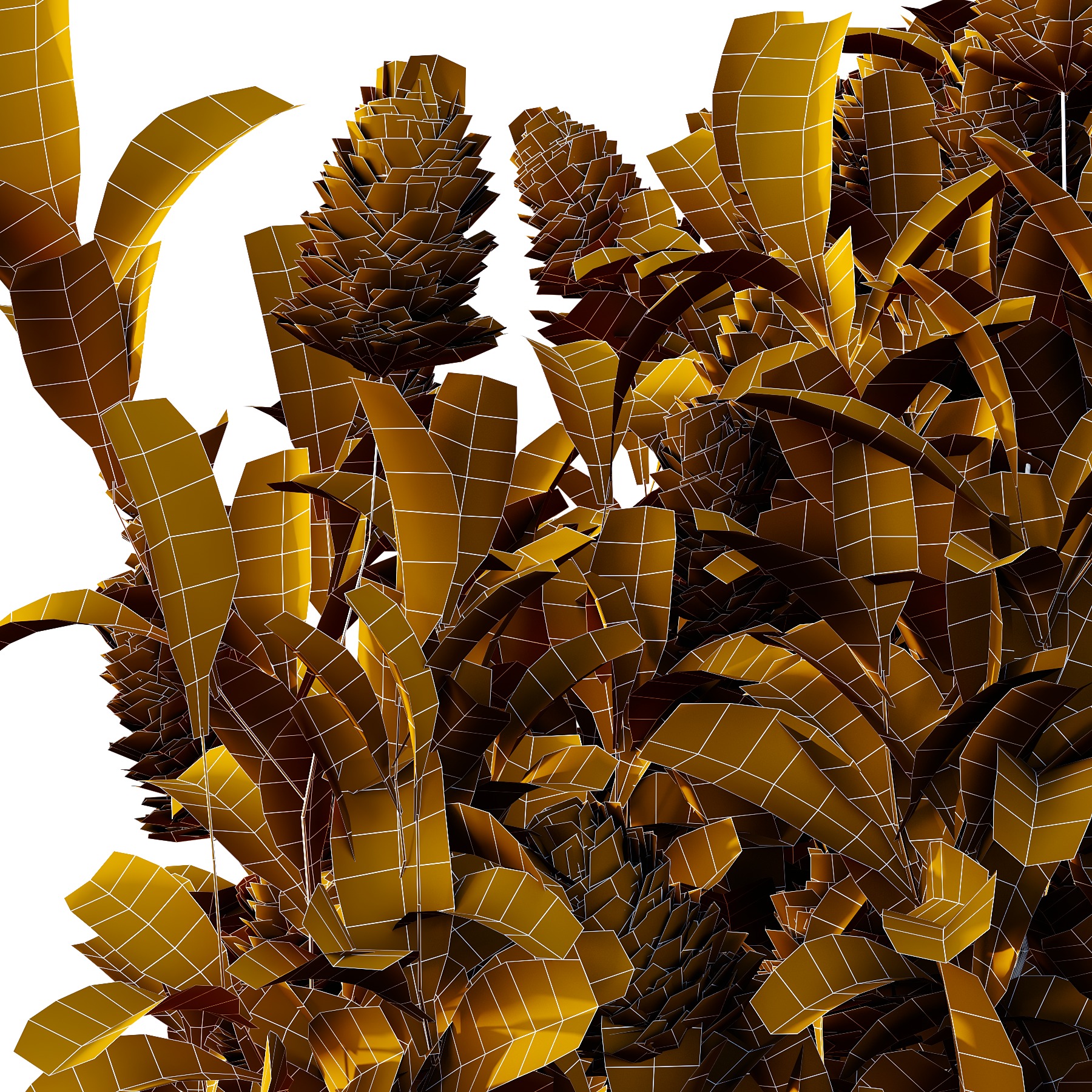 Argyrocytisus battandieri 08  3D model_5