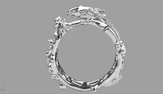 nature ring 0