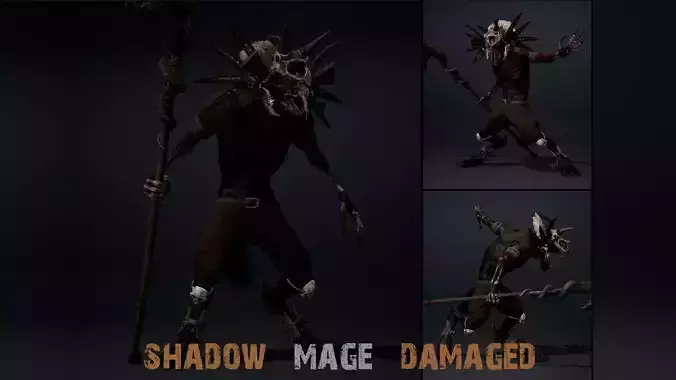 Shadow Mage Damaged