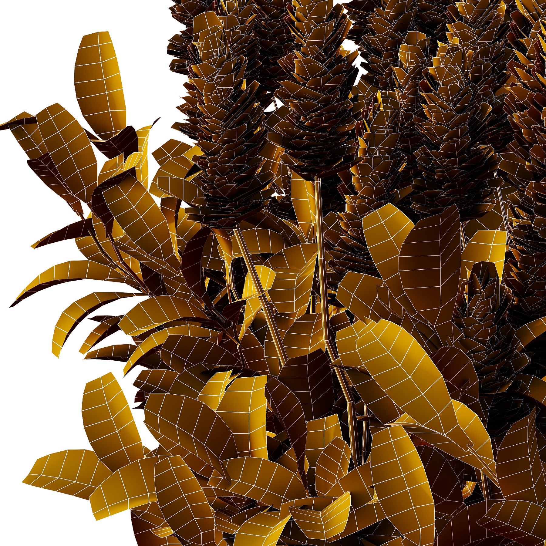 Argyrocytisus battandieri 09 3D model_2