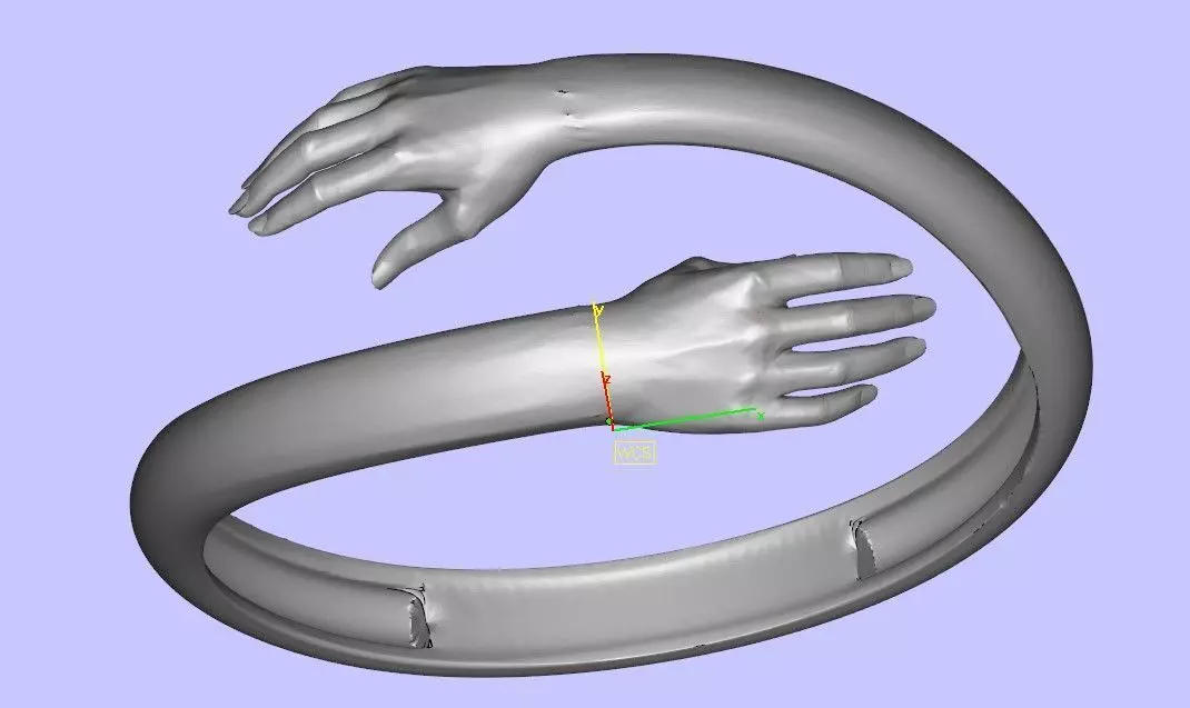 Hug Rings for Women Men 3d print 3D model