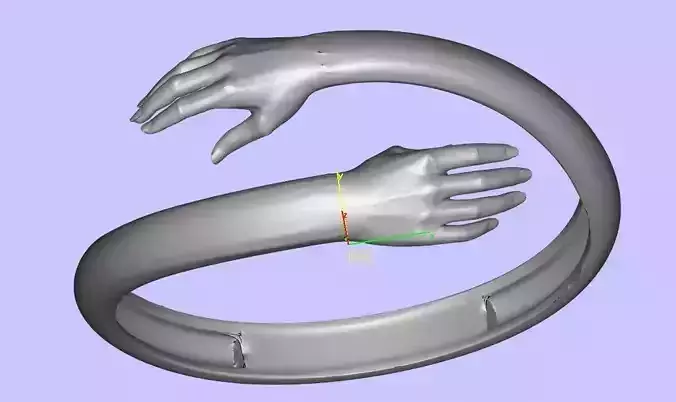 Hug Rings for Women Men 3d print  3D model