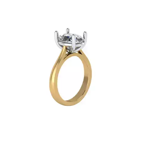 two tone oval shape ring