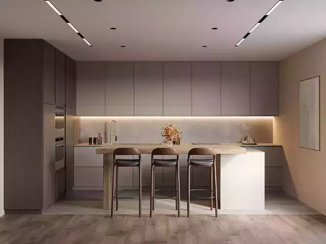 Kitchen Minimalism