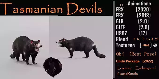 Tasmanian Devils