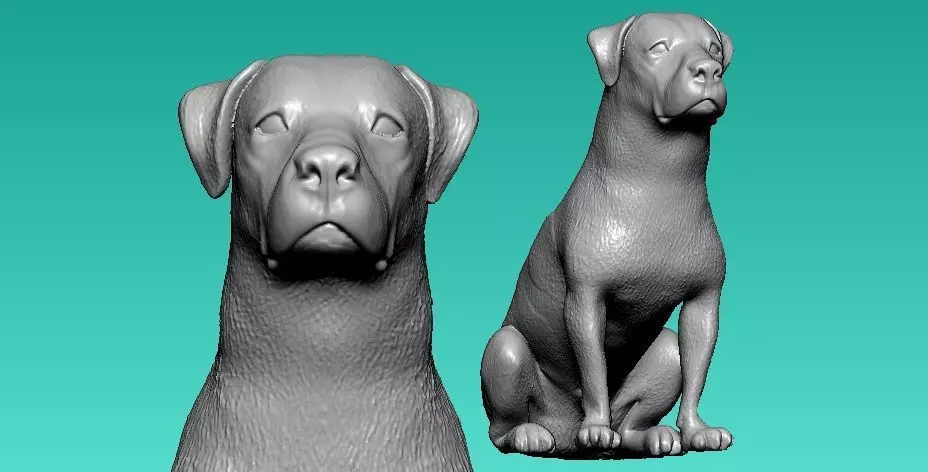 Bailey USA bulldog model - 3D print 3D print model_0