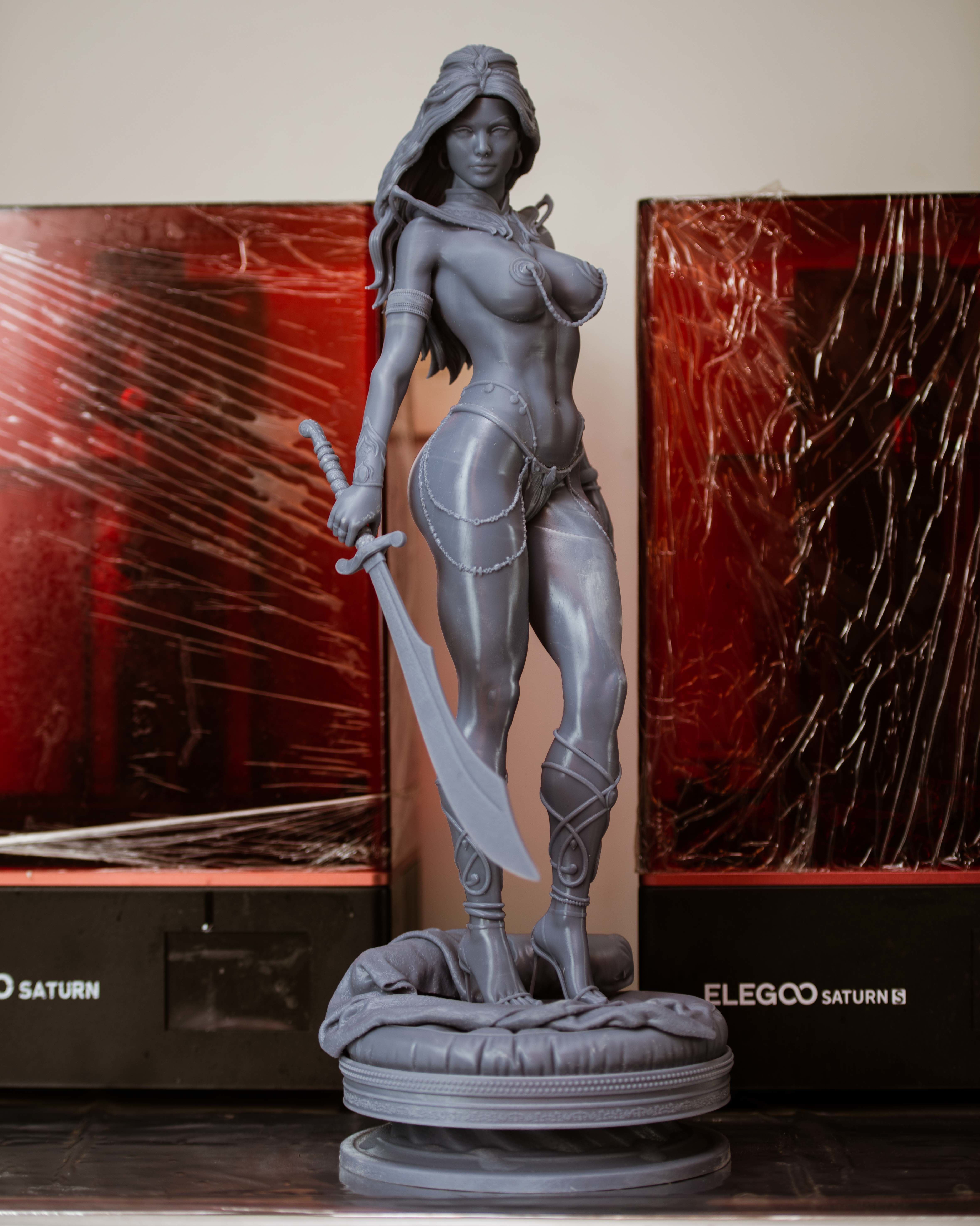 Dejah Thoris 3D print model_23