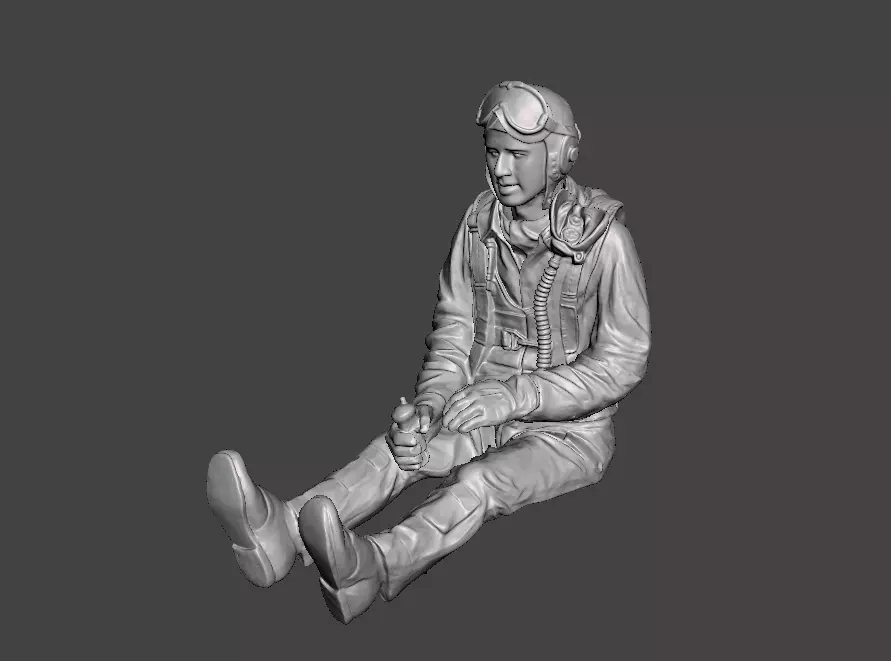WWII USAF P-51 Mustang pilot 3D print model_0