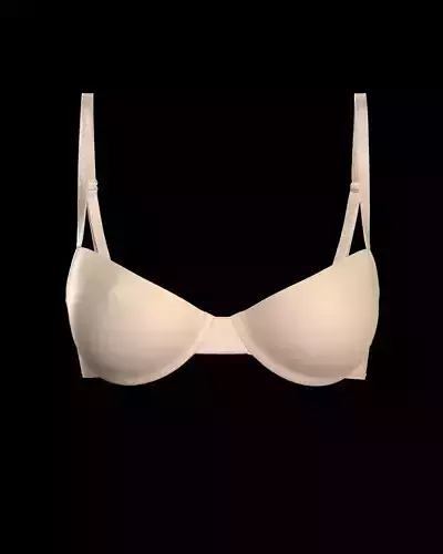 Basic Wired Women Bra 3D model