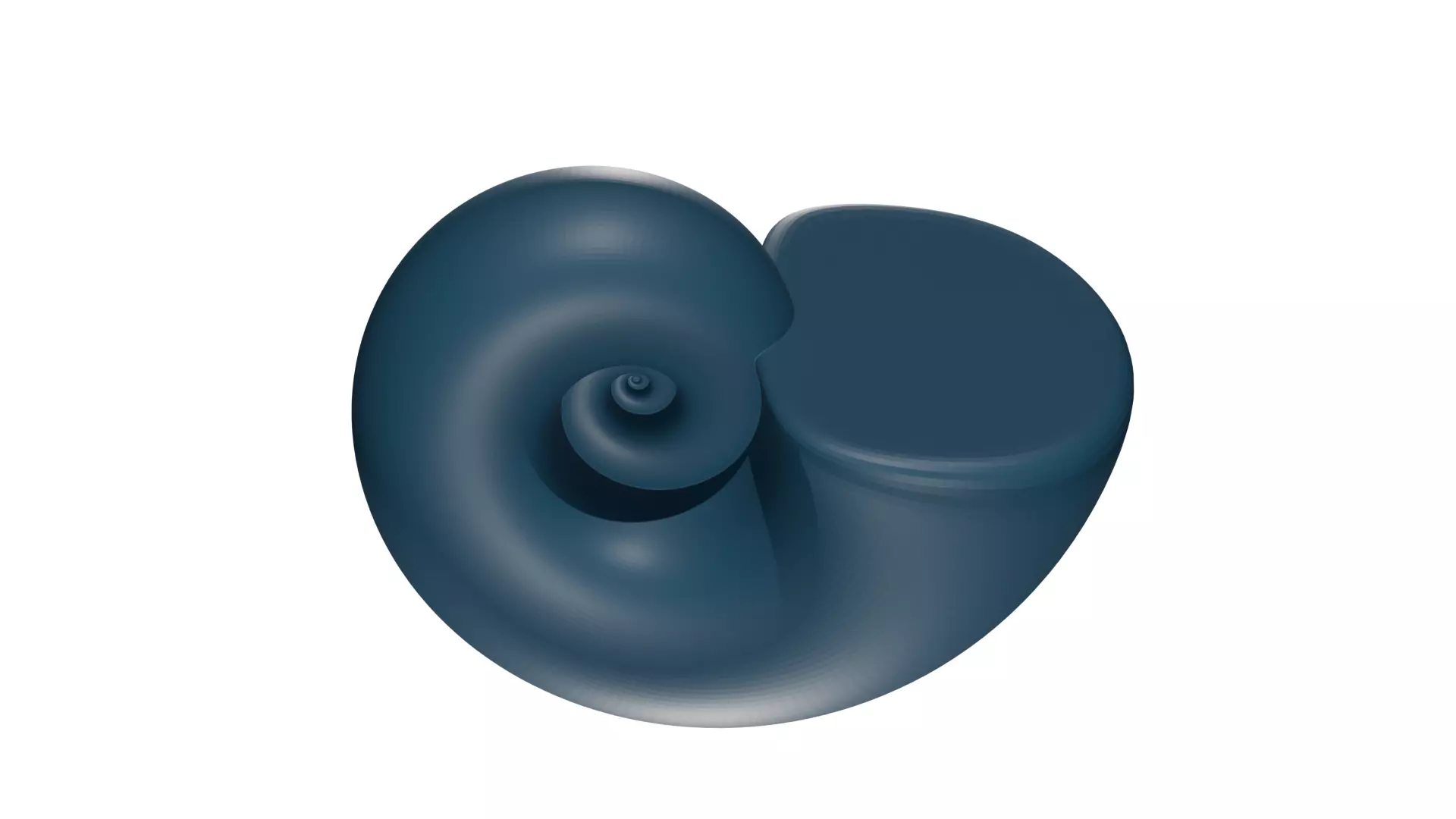 Ammonoid shell Paraspiticeras 3D model